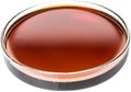 AST 10 Grams E45545