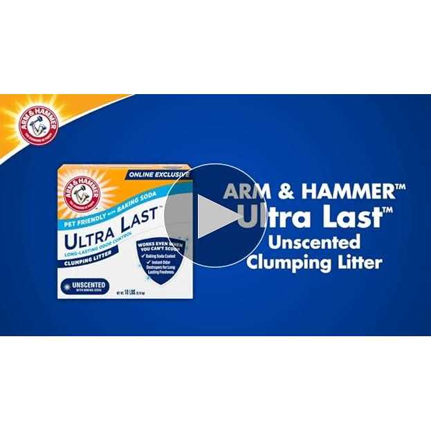 Unscented Clumping Cat Litter X46859
