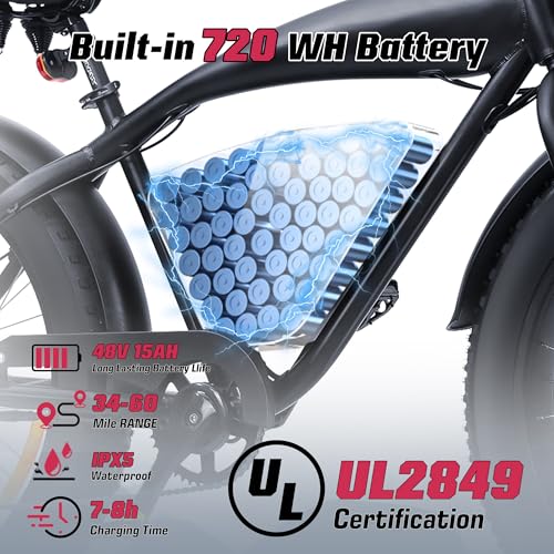Electric Bike 48V 13Ah 750W 20" Fat Tires UL Certified A101