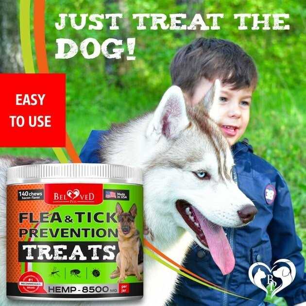 Flea and Tick Prevention Treats for Dogs E710