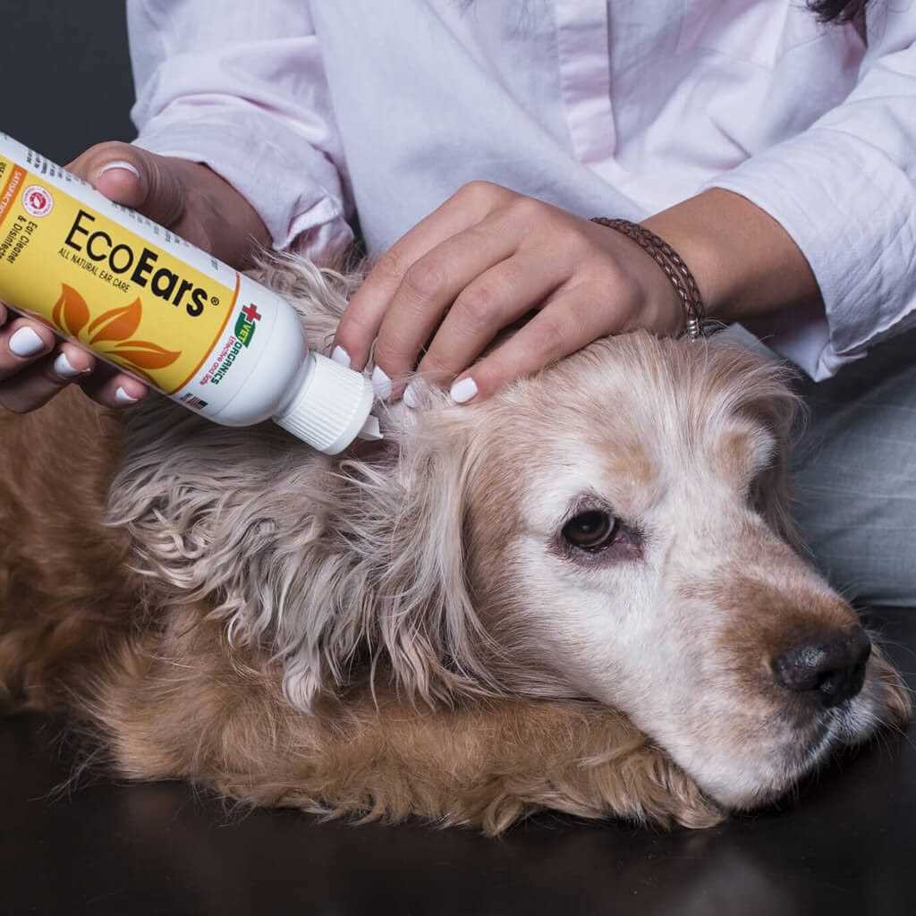 Dog Ear Cleaner P42887