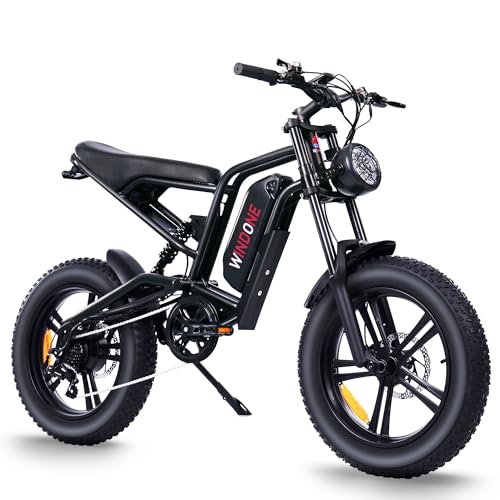 Electric Bike 48V 13Ah 750W 20" Fat Tires UL Certified A101