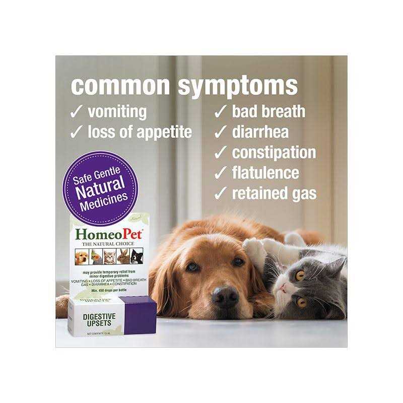 Pet Supplies V41192