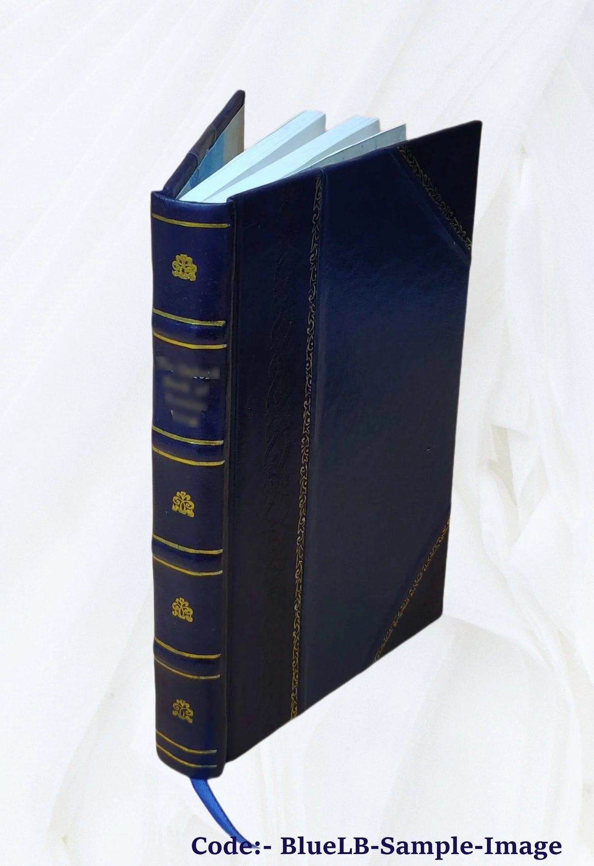 Hospitals Leather Bound M6373