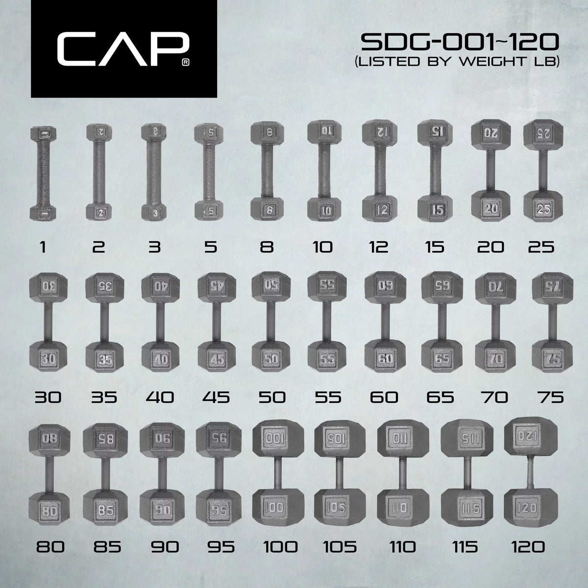 15lb Cast Iron Hex Dumbbell V221