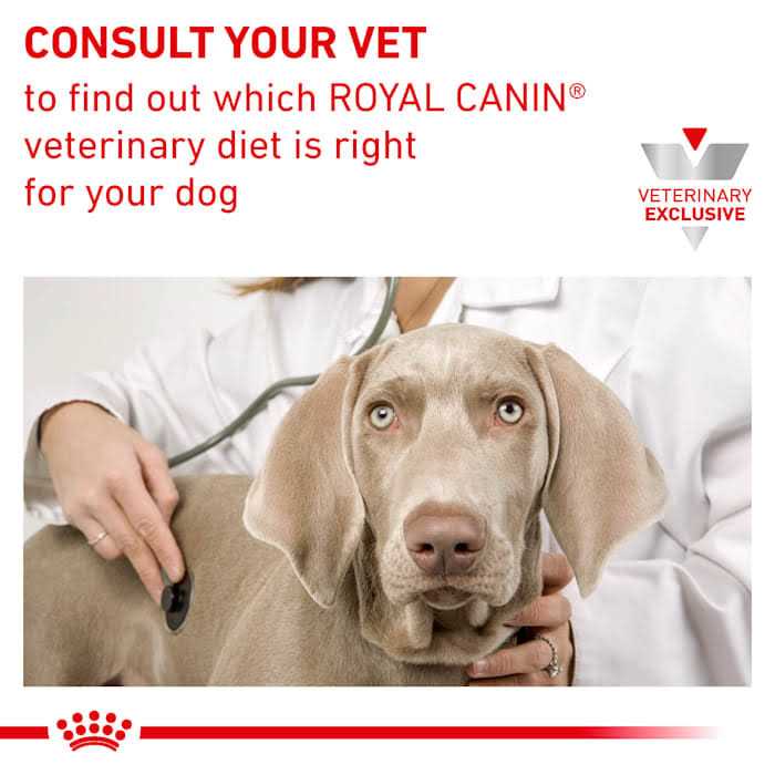 Veterinary Diet Renal Support T Wet Dog Food J314320