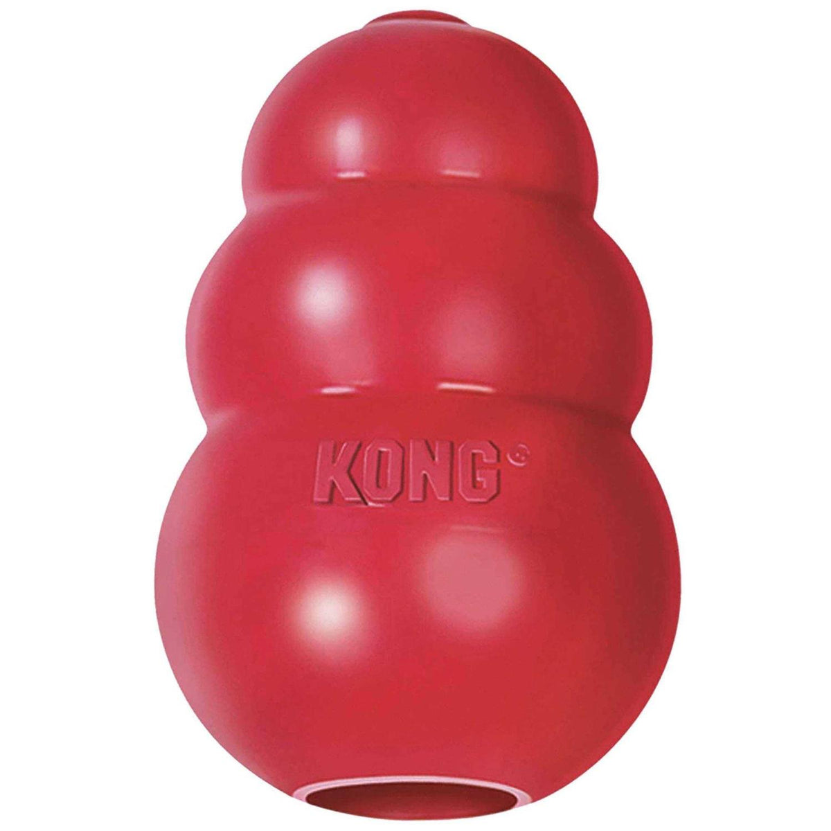 KONG Dog Toy X43484