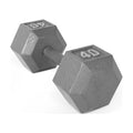 15lb Cast Iron Hex Dumbbell V221