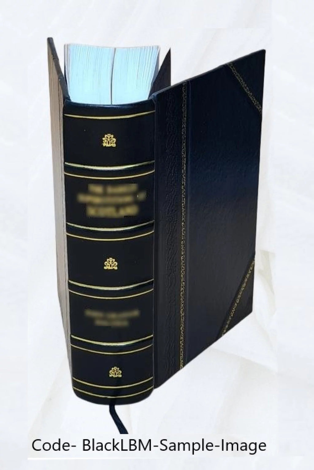 Provincia e diocesi di Cremona 1856 Leather Bound J1467