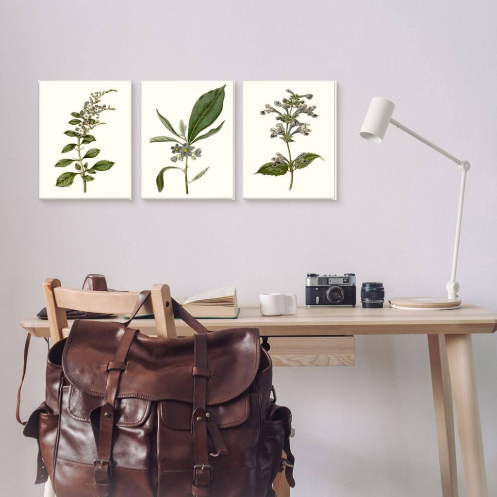 Minimal Blue Botanical Study Framed Floral Wood Print in Brown F3801