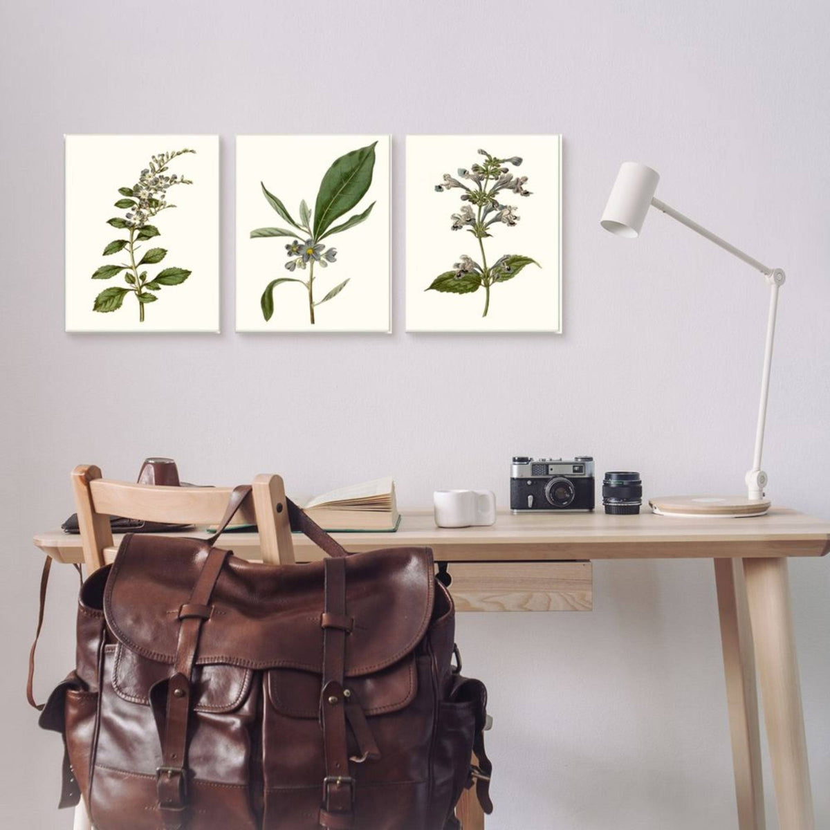 Minimal Blue Botanical Study Framed Floral Wood Print in Brown F3801