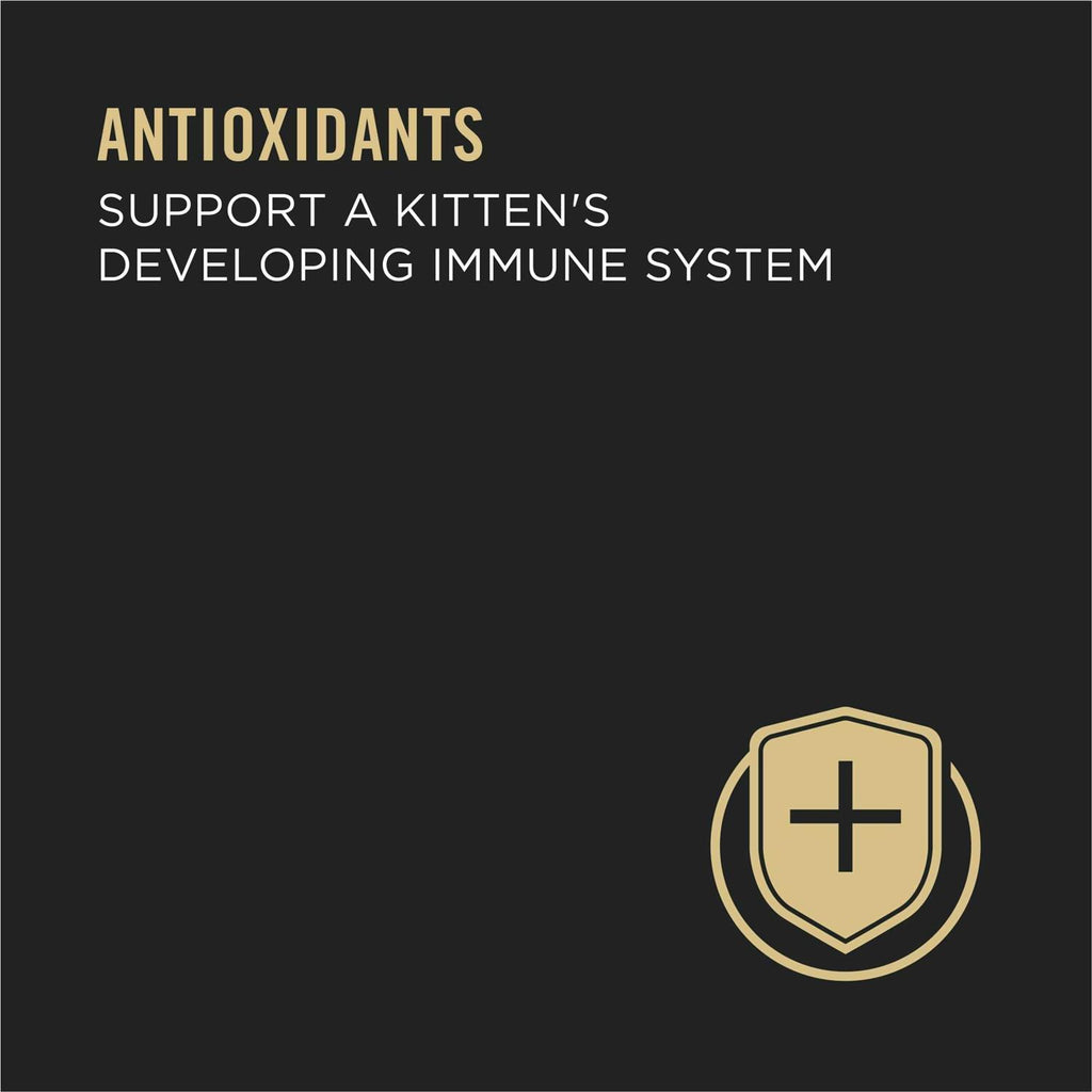 Wet Kitten Food Variety Pack U394282