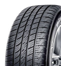 285/40R19 103W Tire D6528