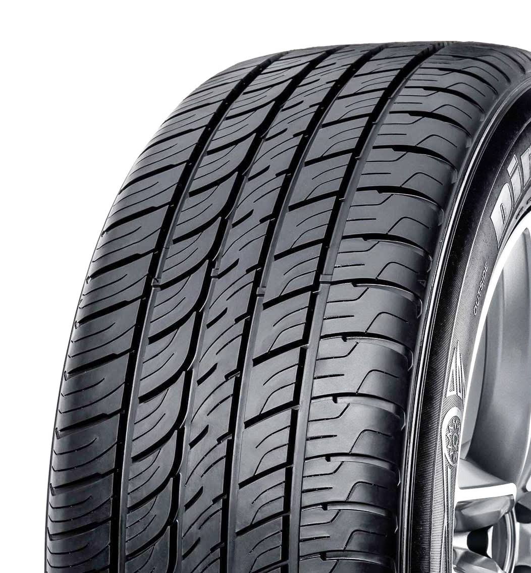 285/40R19 103W Tire D6528