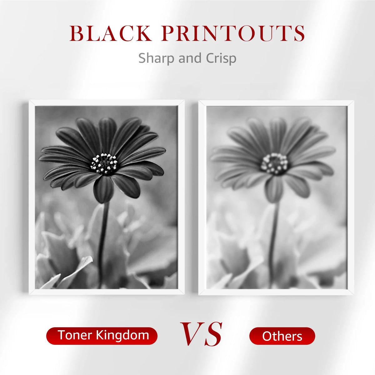 Black 2-Pack Toner B963
