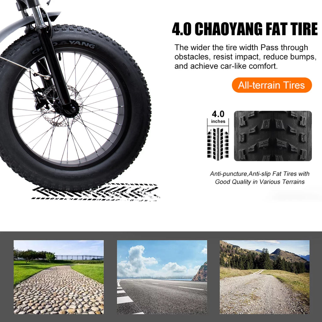Folding Electric Mountain Bike 750W 20'' Aluminum Alloy 48V 12Ah 9 Speed O243