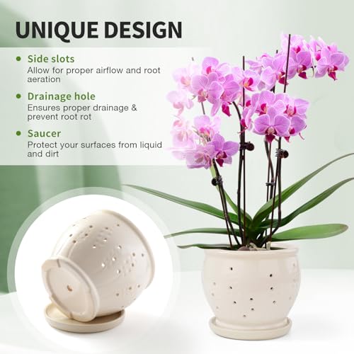 6.3" Ceramic Orchid Pots with Holes Crackle Glazed with Drainage and Separate Saucer White B926615
