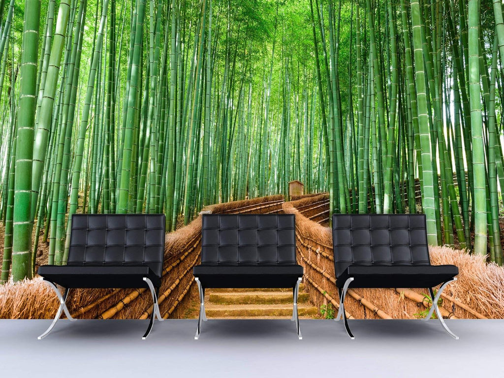 9ft H X 4ft W Wall Mural V846525