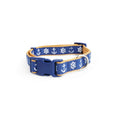 Dog Collar R71757
