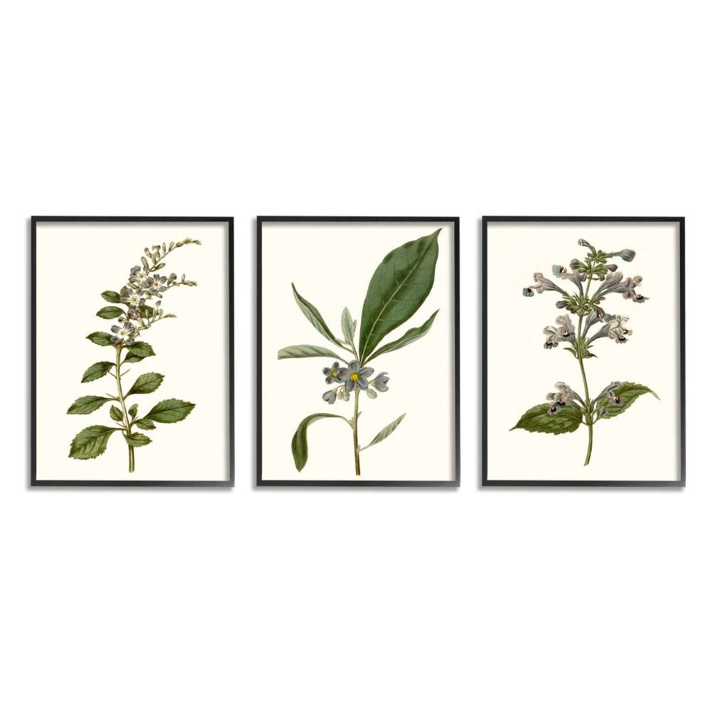 Minimal Blue Botanical Study Framed Floral Wood Print in Brown F3801