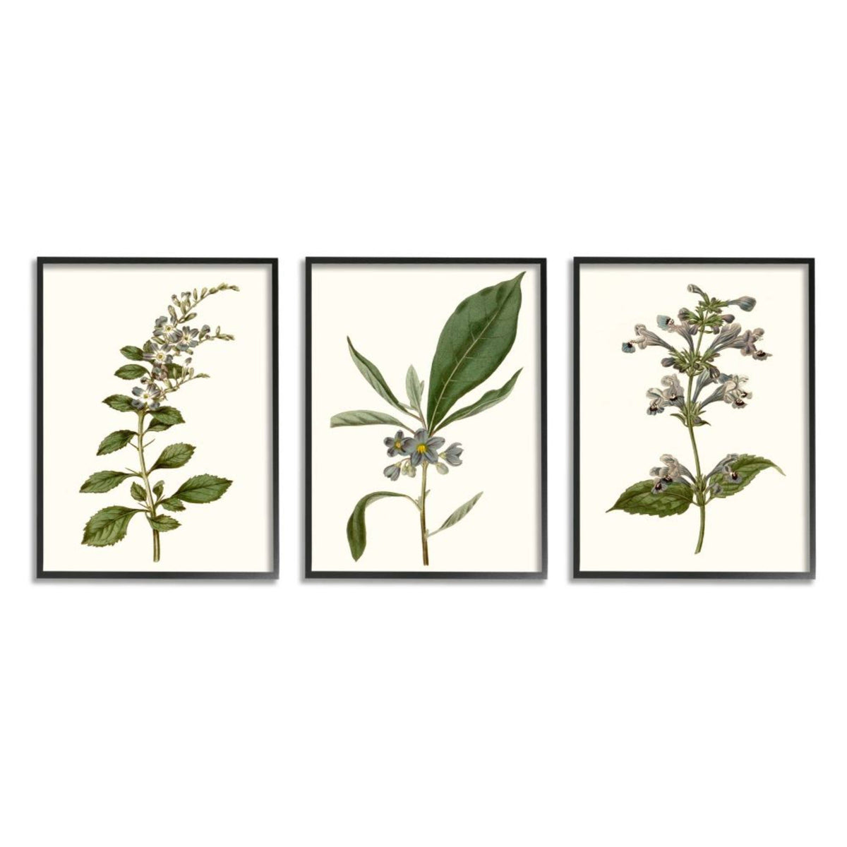 Minimal Blue Botanical Study Framed Floral Wood Print in Brown F3801