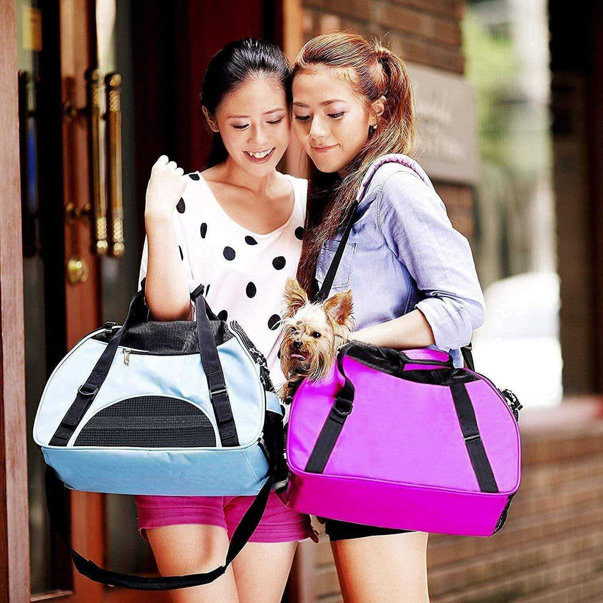 Soft-Sided Pet Travel Carrier M67753