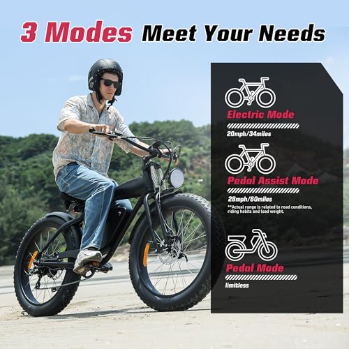 Electric Bike 48V 13Ah 750W 20" Fat Tires UL Certified A101
