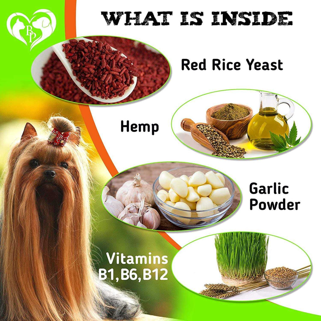 Flea and Tick Prevention Treats for Dogs E710