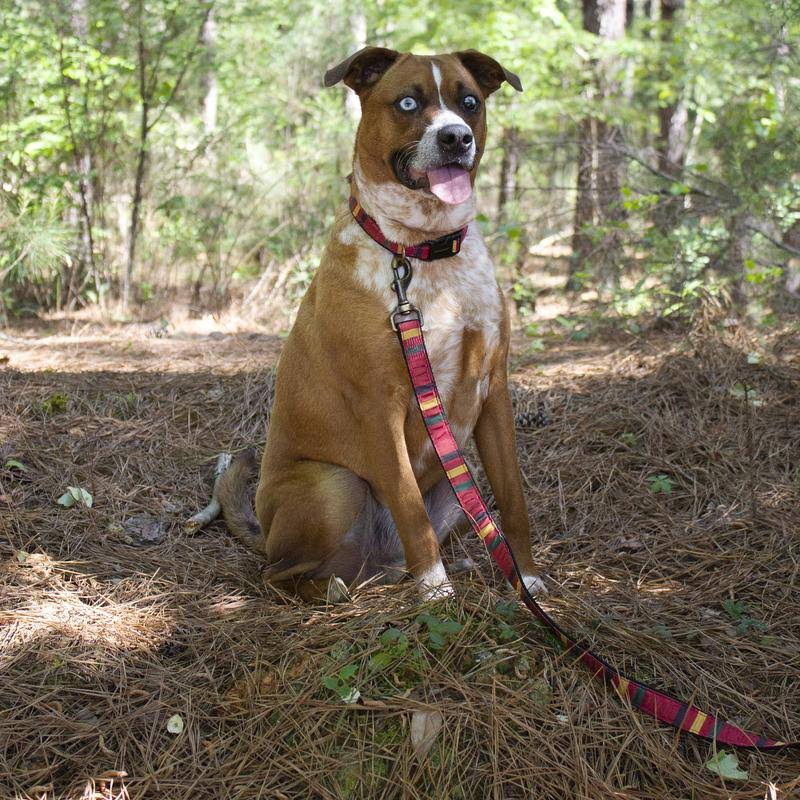 Yellowstone Hiker Dog Leash H635
