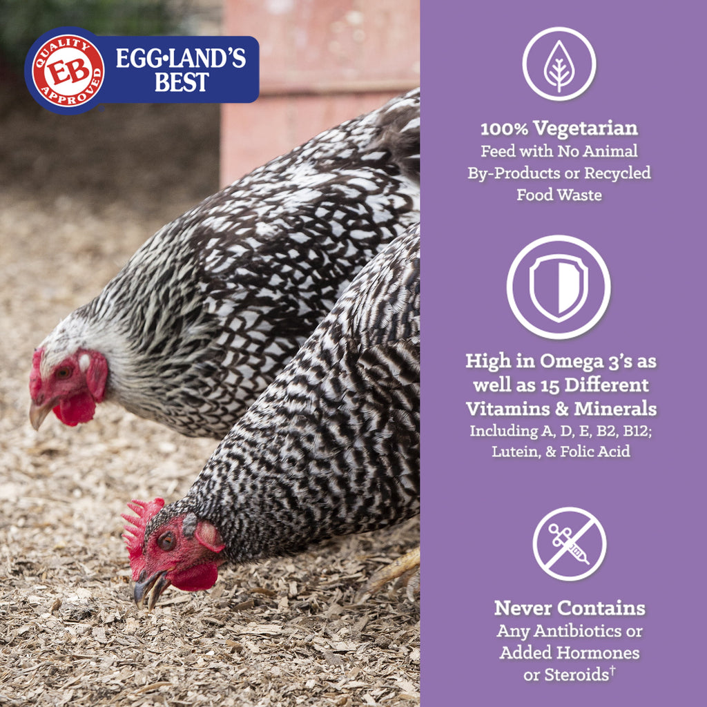 Chicken Food 40 lbs P25460