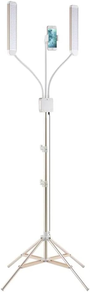 Portable LED Lighting Kit with Smartphone Mount Z95702