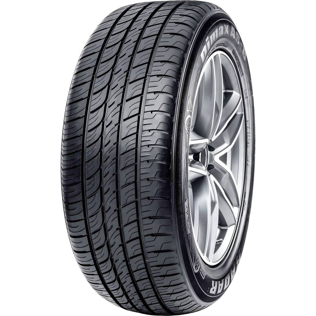 285/40R19 103W Tire D6528