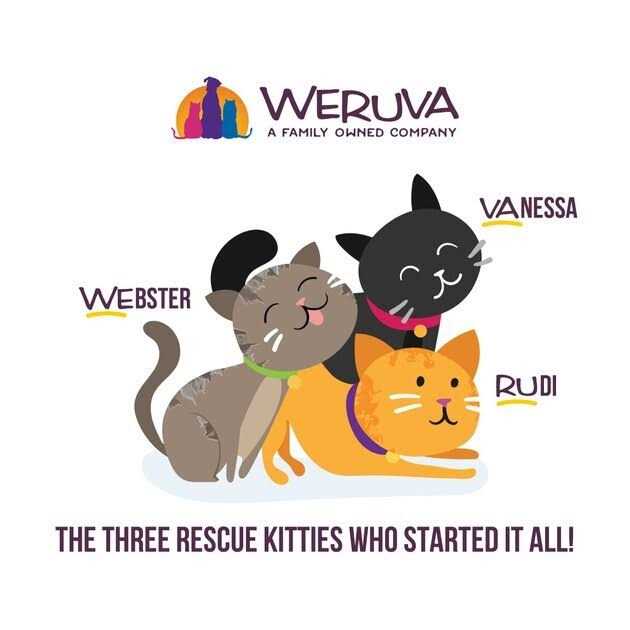 Wet Cat Food R822790