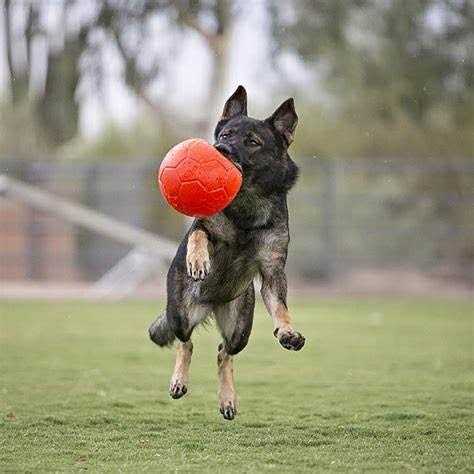Soccer Ball K1388