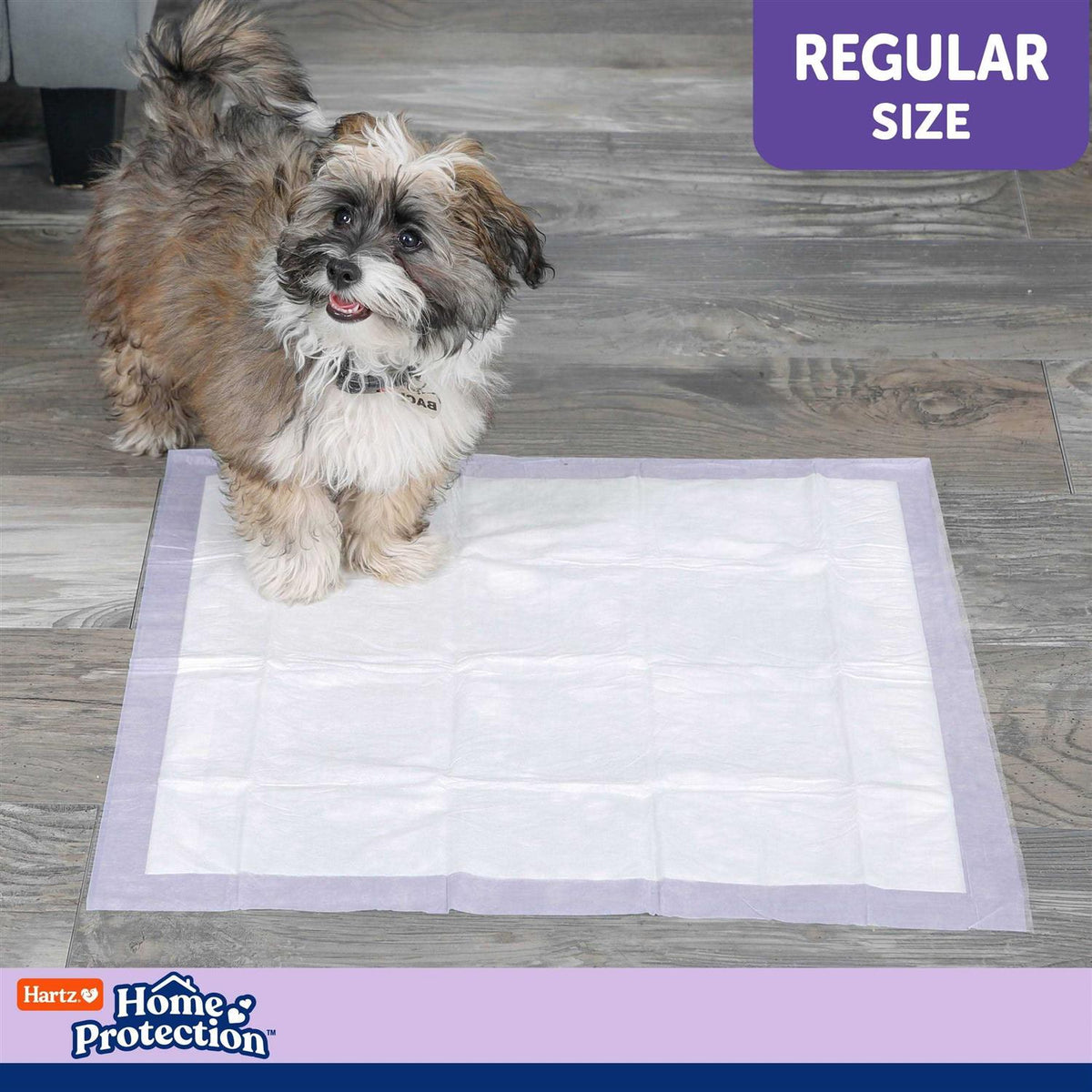 Lavender Scent Odor Eliminating Dog Pads F441211