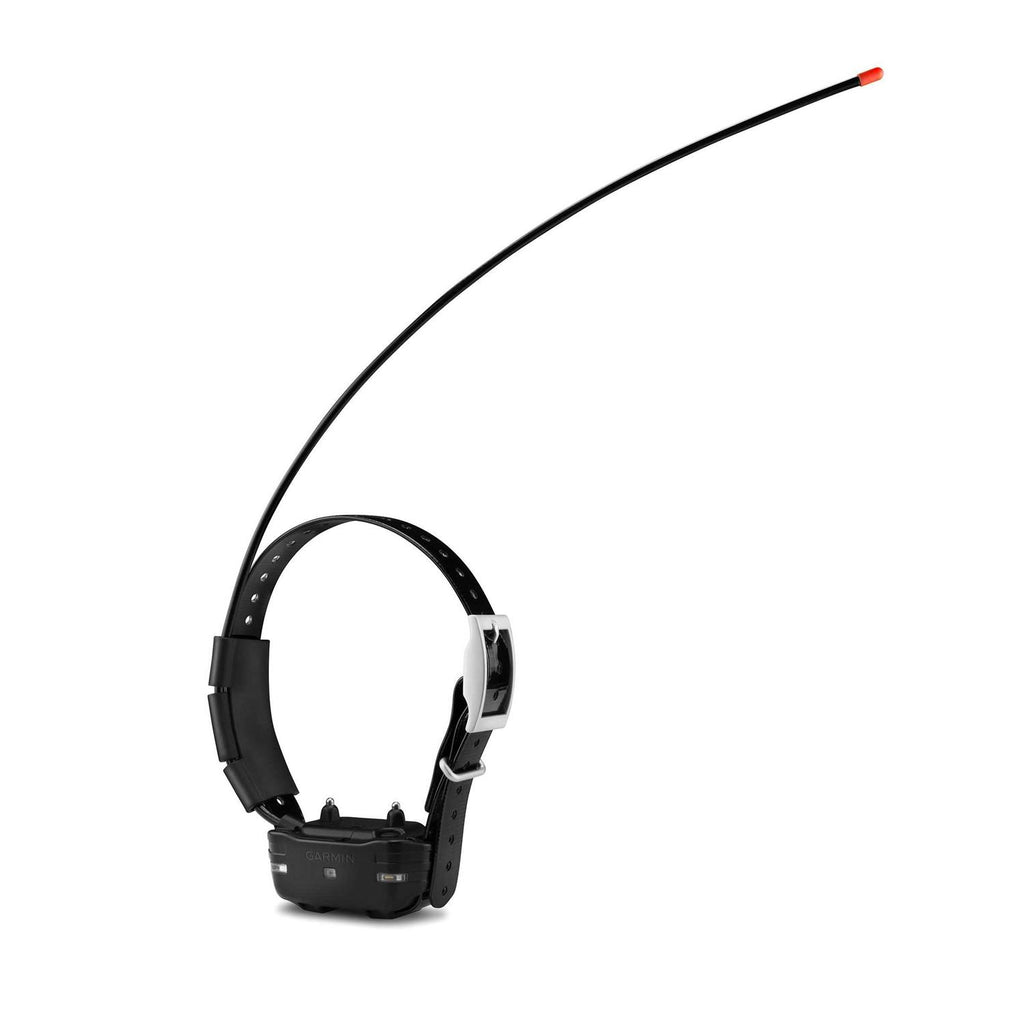 Dog Device Q342