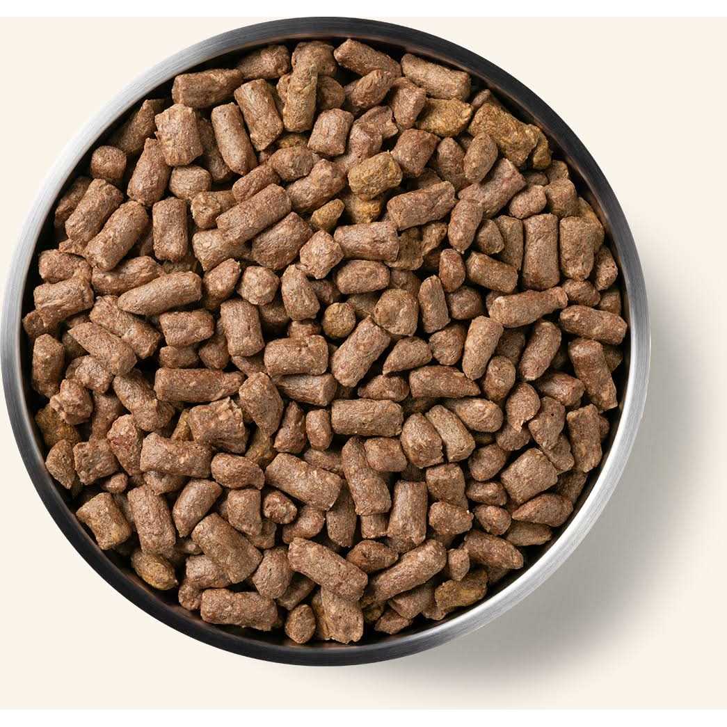 Freeze-Dried Dog Food A840947
