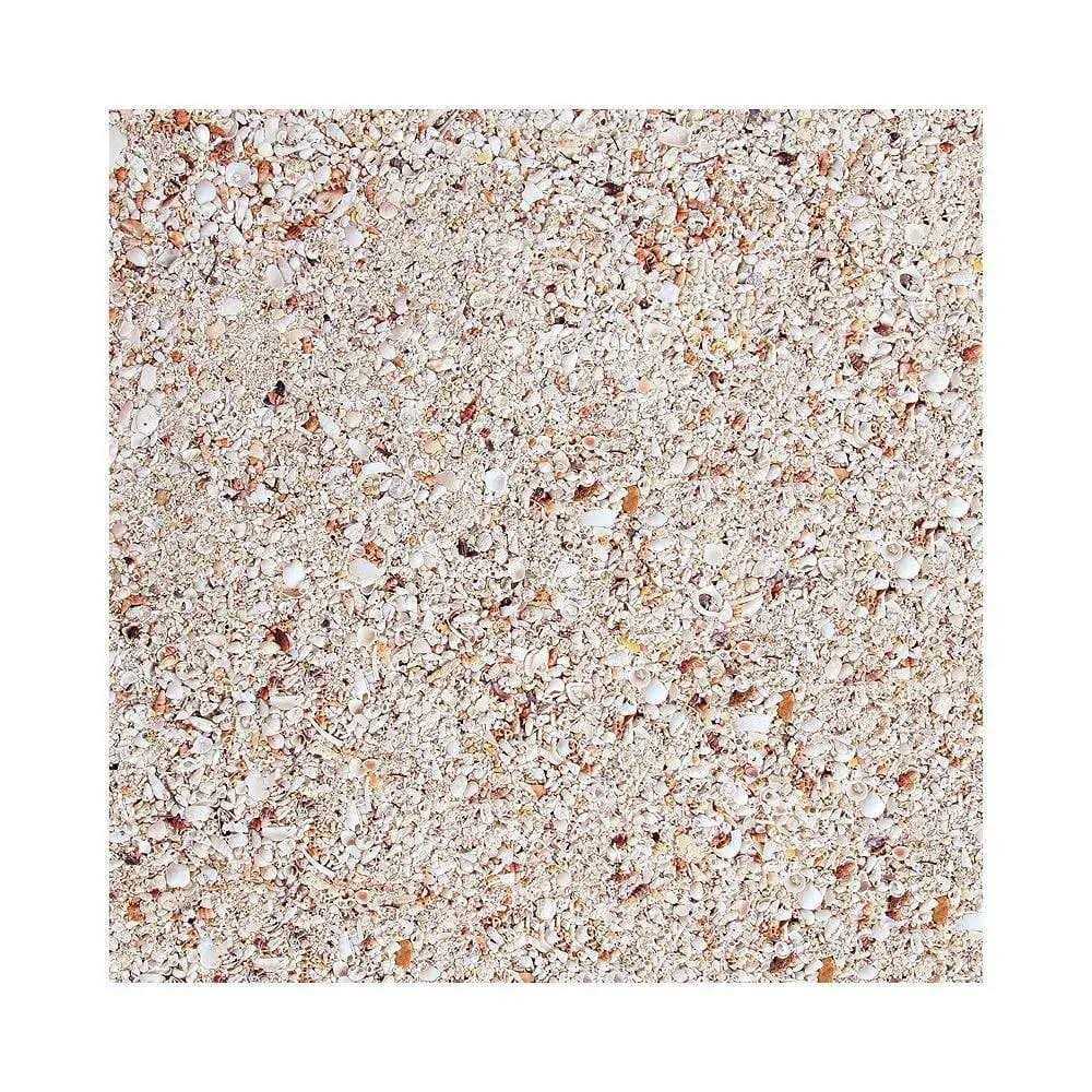 Live Aragonite Saltwater Aquarium Sand T543