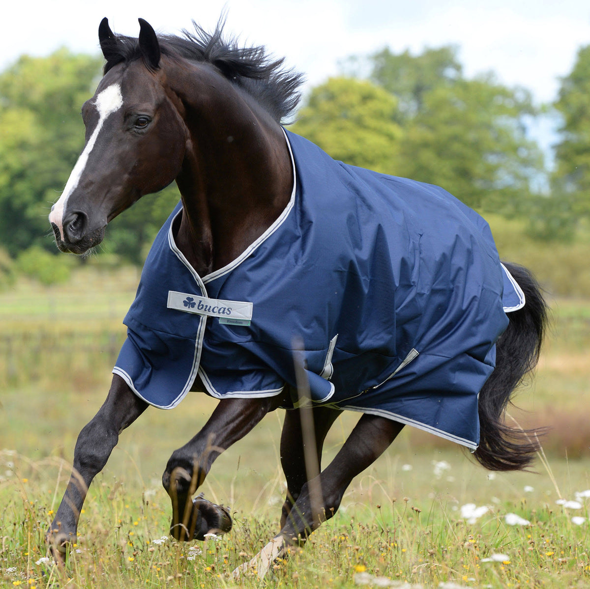 160 Navy Turnout 300 Grams N6096