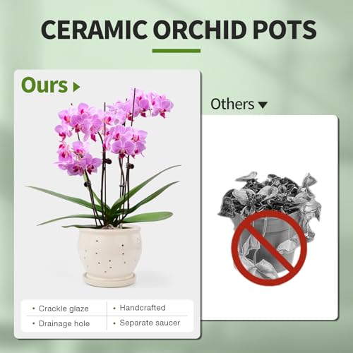 6.3" Ceramic Orchid Pots with Holes Crackle Glazed with Drainage and Separate Saucer White B926615