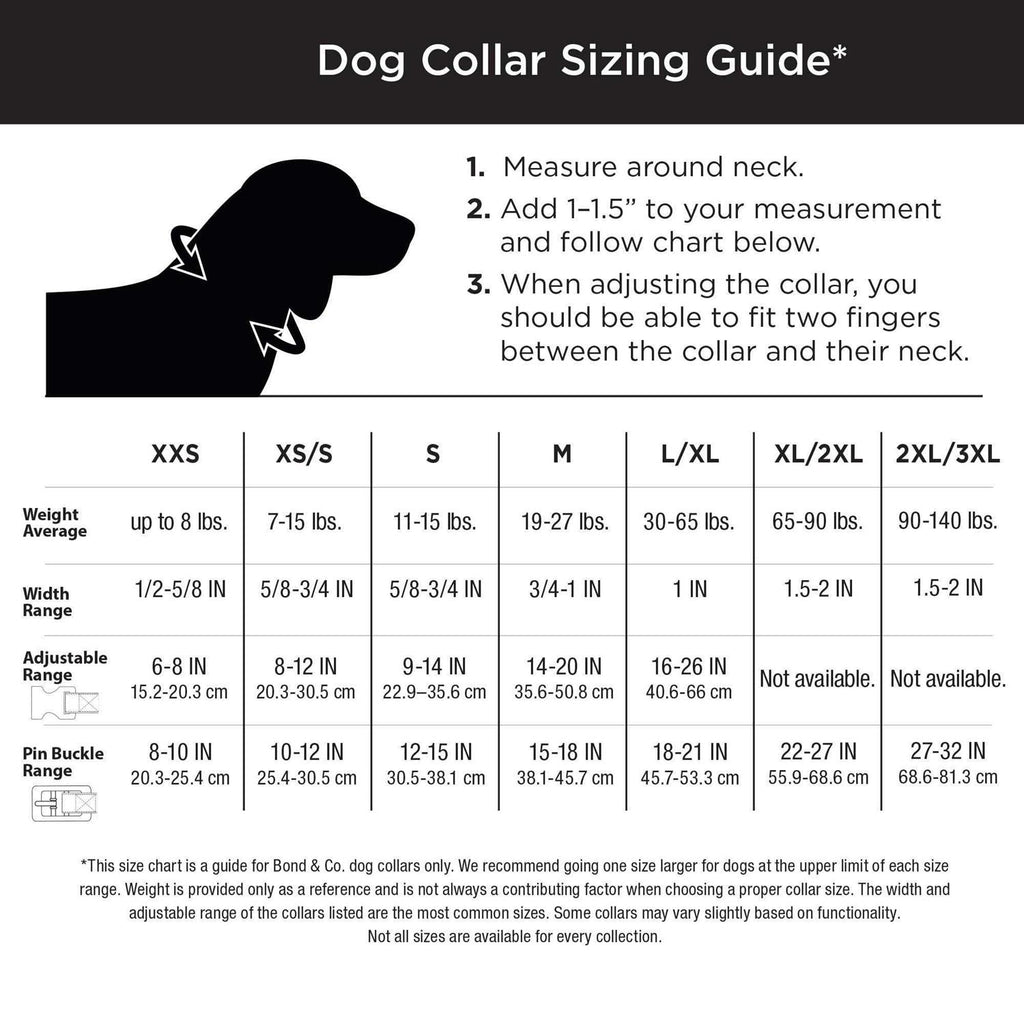 Dog Collar R71757