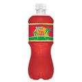 Tahitian Treat Fruit Punch Soda 20oz Bottles, Quantity of 24 D24899