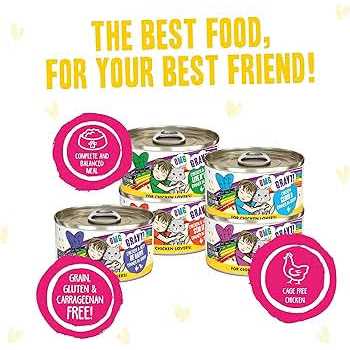 Wet Cat Food R822790