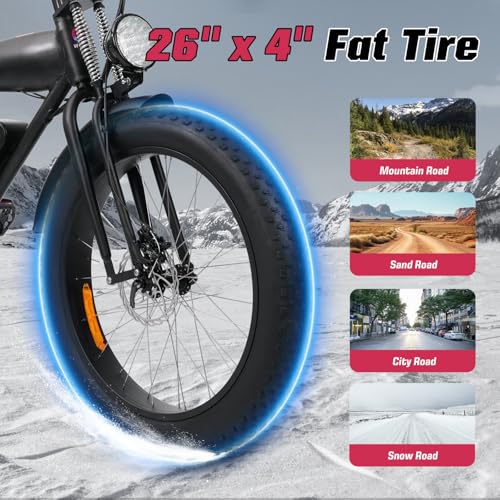 Electric Bike 48V 13Ah 750W 20" Fat Tires UL Certified A101