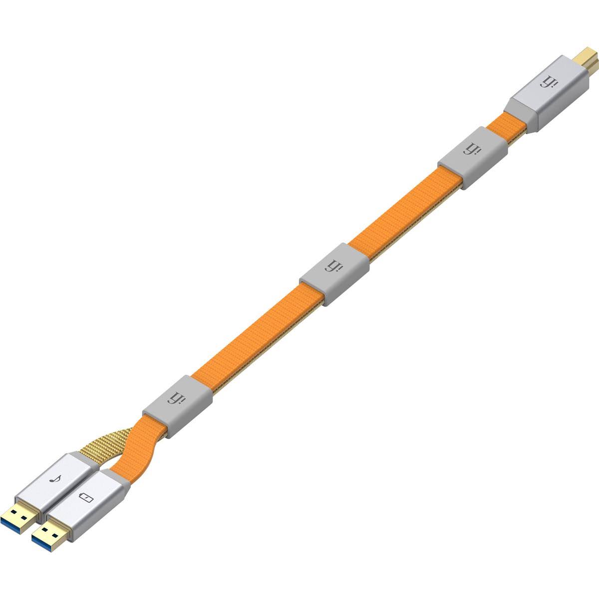 Dual-Head USB Type-B 2.0 Cable H253947