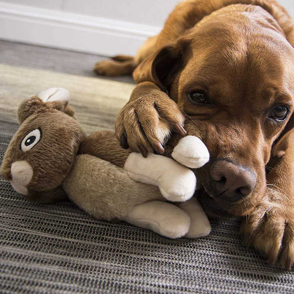 Rabbit Dog Toy O5586