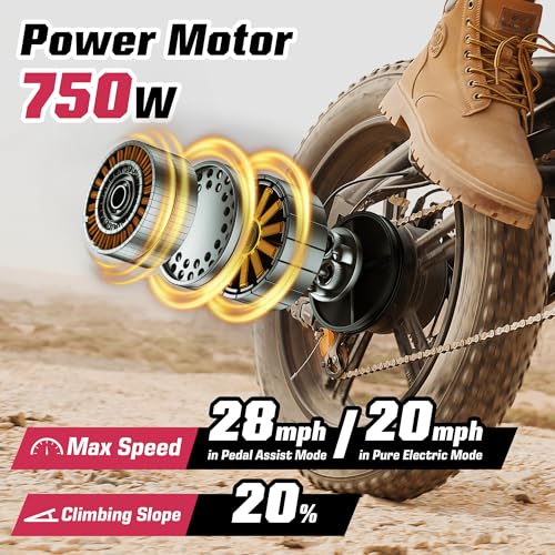 Electric Bike 48V 13Ah 750W 20" Fat Tires UL Certified A101