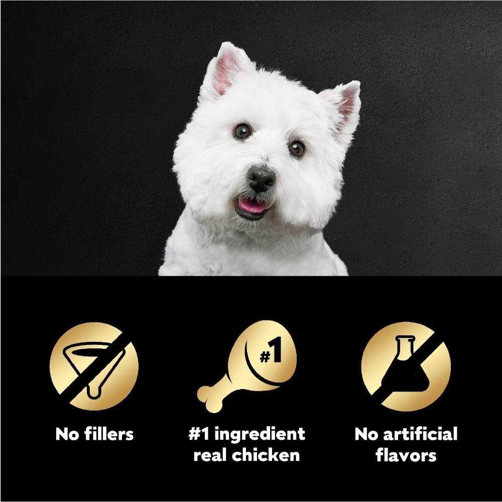 Wood-Grilled Chicken Flavor Wet Dog Food K28488