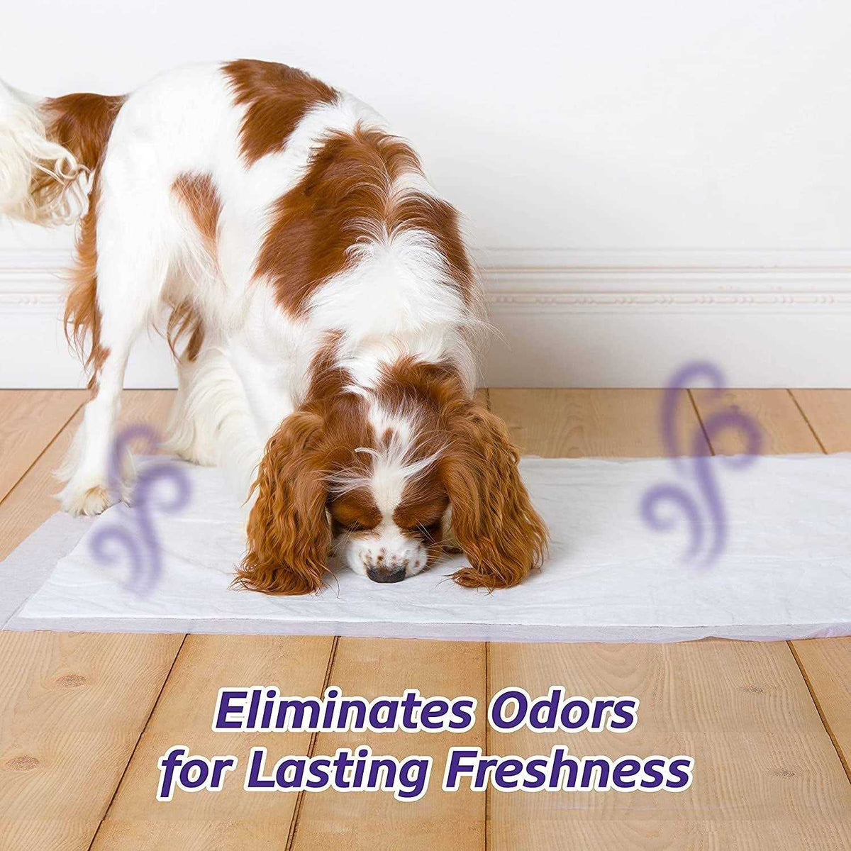 Lavender Scent Odor Eliminating Dog Pads F441211