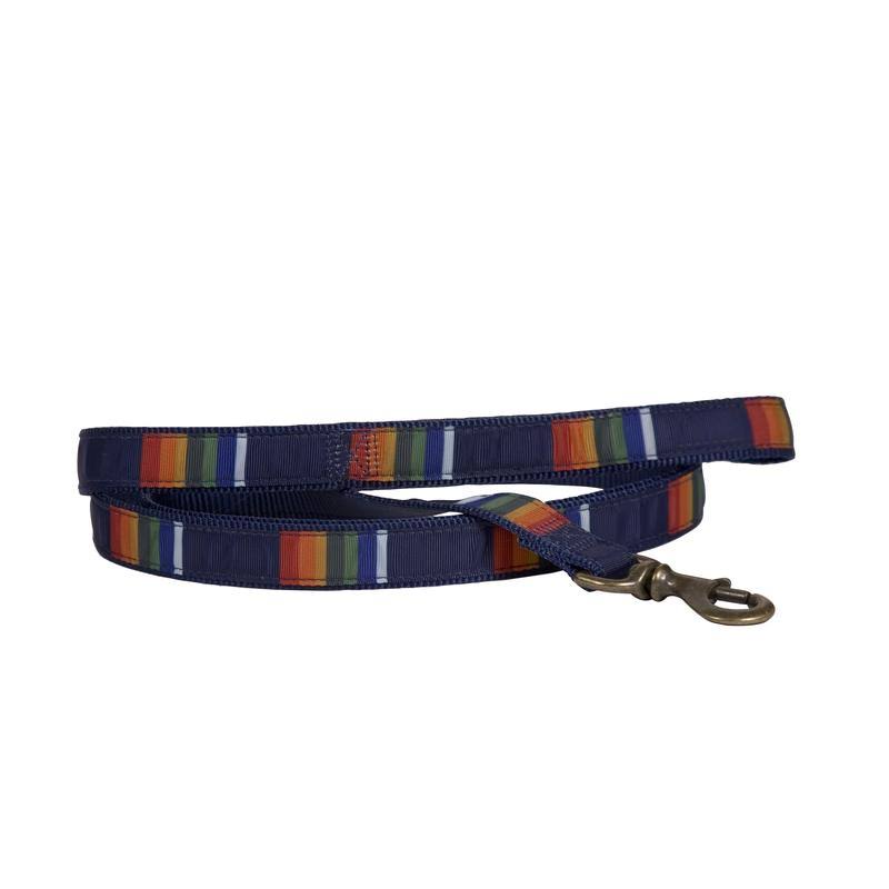 Yellowstone Hiker Dog Leash H635